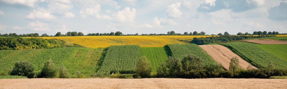 My Agricultural Land