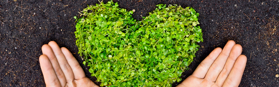 Corporate responsibility